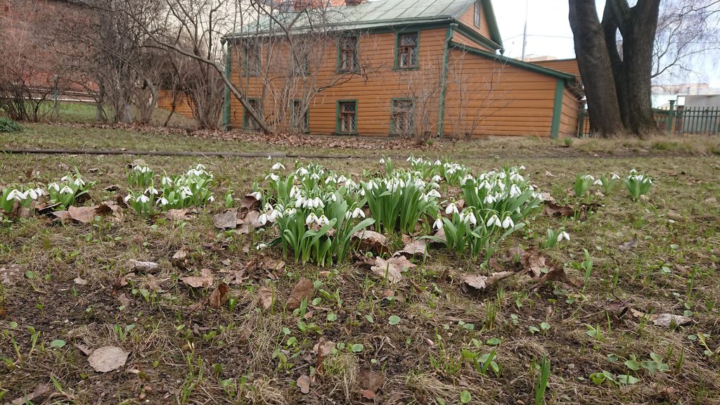 «Дом выходит очень хорош». Весна в Хамовниках: вчера, сегодня, завтра