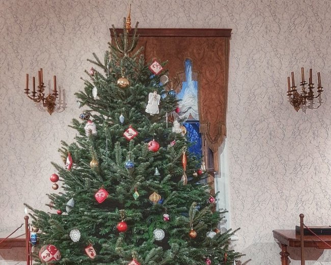 «Хамовники» открываются!