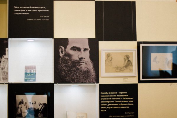 «Война и мир» на шахматной доске