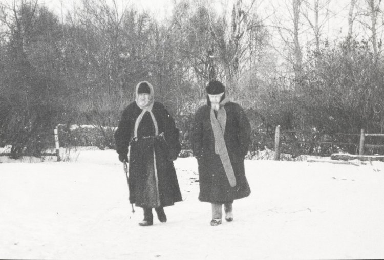 Л.Н.Толстой и Ф.А.Страхов. Чертков В.Г. Зима 1909. Ясная Поляна