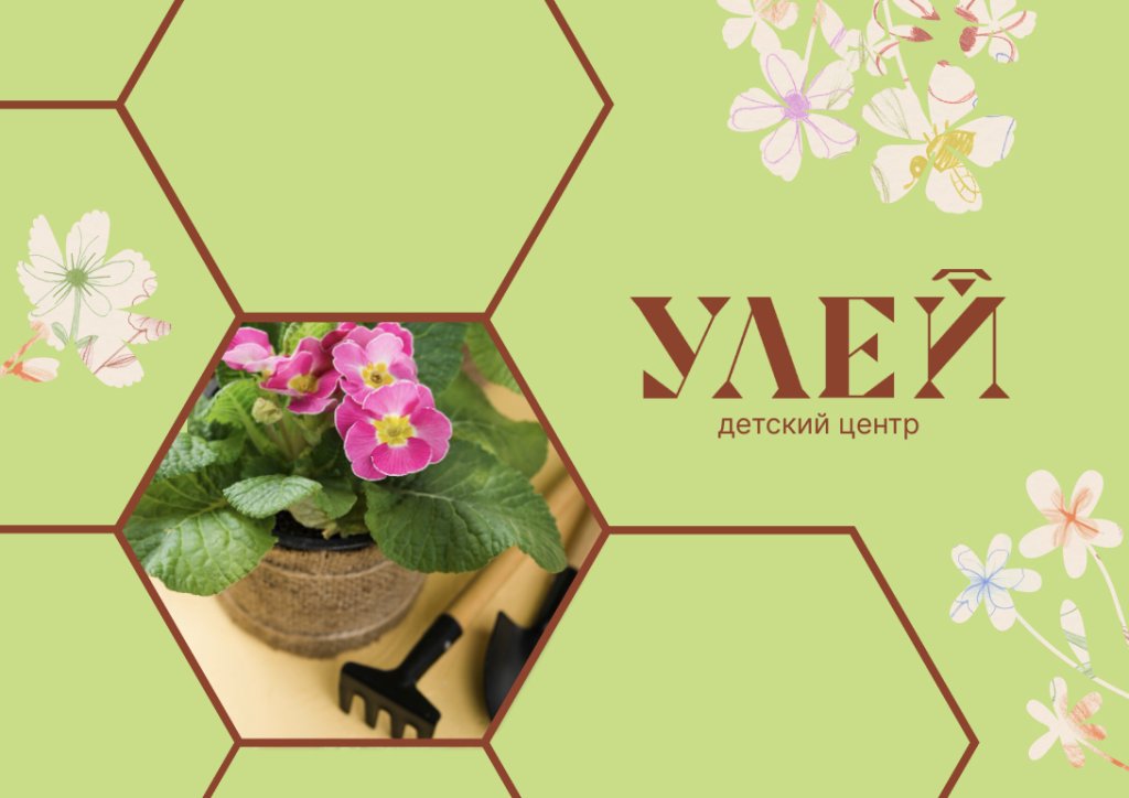 «Садоводство: петунии». Занятие с мастер-классом в детском центре «УЛЕЙ»