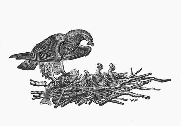 «Поэтический зверинец» Серебряного века