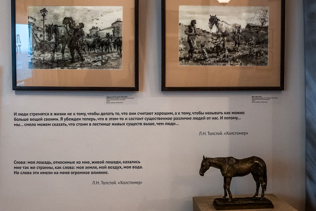 Лекция «Между небом и землей». Анималистические мотивы в музыке»